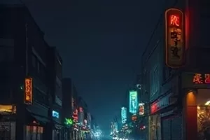 茶马古道石板路上的马帮