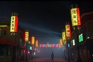 湿地课堂学生观察水鸟